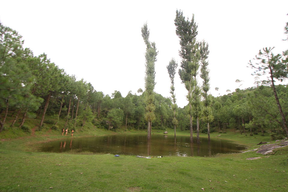Photo of Top Ten Drives from Tirthan Valley 5/11 by Ankit Sood