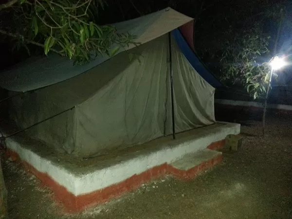 Photo of 4 days short adventure trip to Porbandar & Gir forest national park by MyTravelDairy965