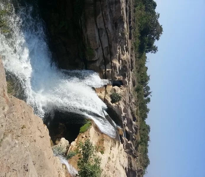 Photo of Gir Forest, Junagadh, Gujarat, India by MyTravelDairy965