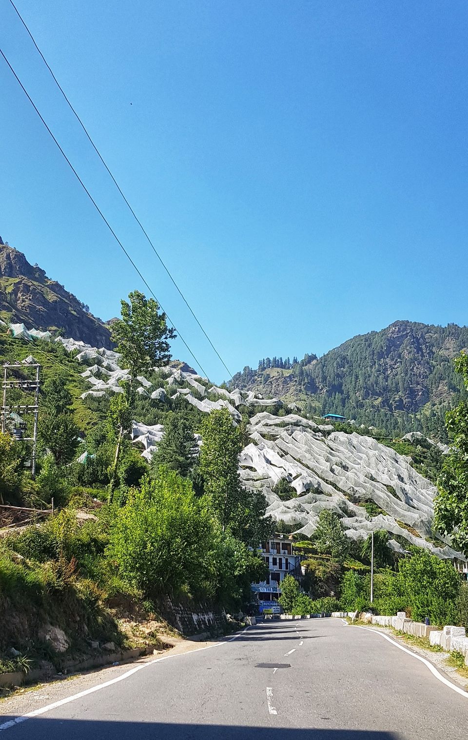 Photo of Udaipur-Shimla-Narkanda Road Trip in Maruti 800 4/11 by MyTravelDairy965