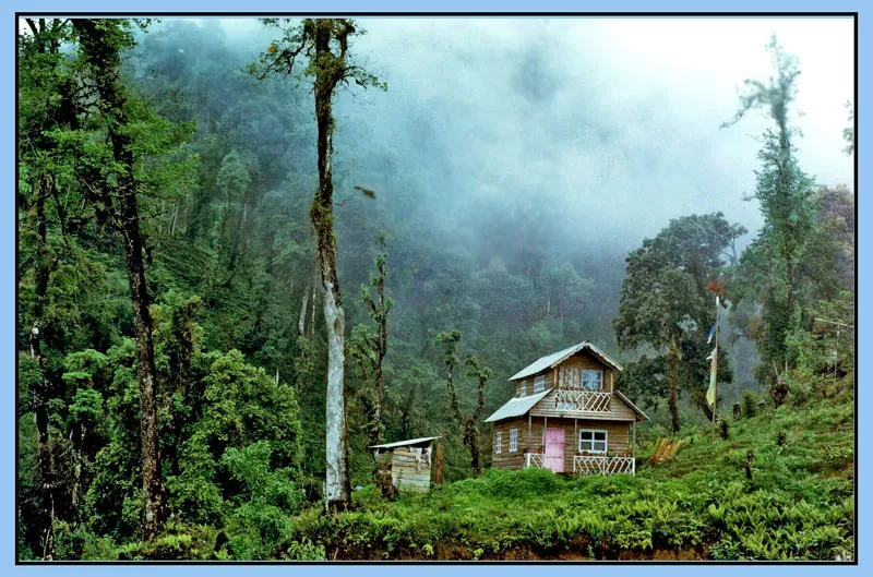 Photo of Lava, West Bengal, India by Ritabrata Mukherjee