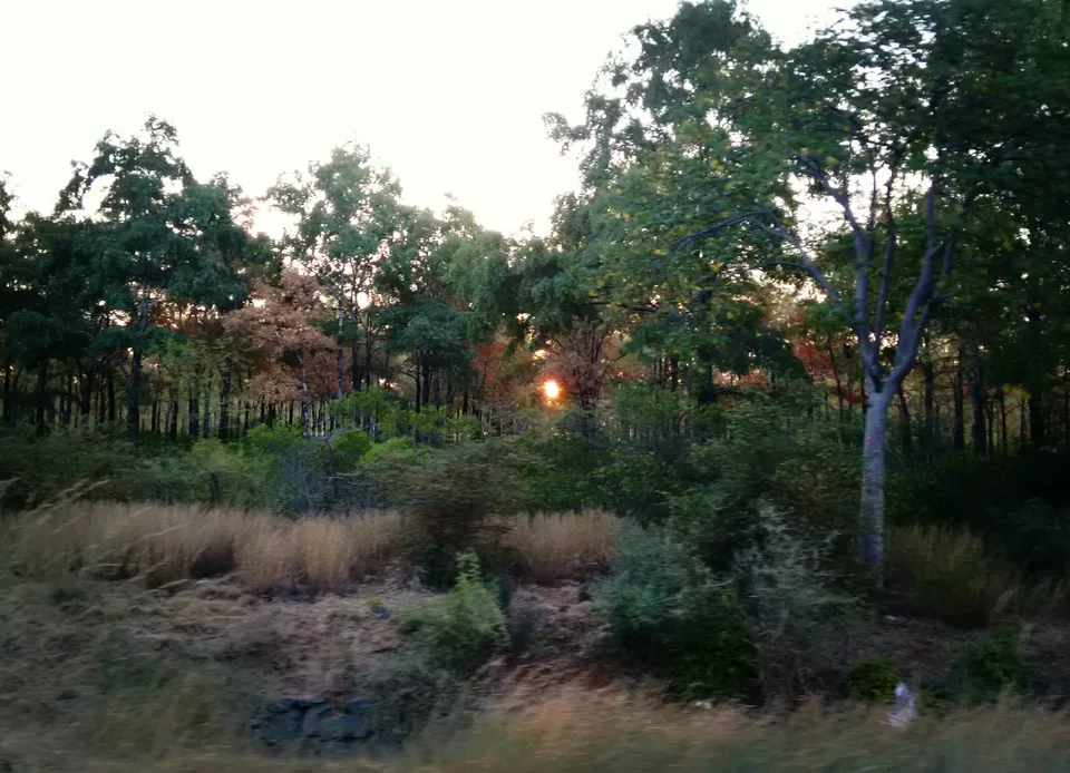 Photo of Srikakulam, Andhra Pradesh, India by rituparna saha