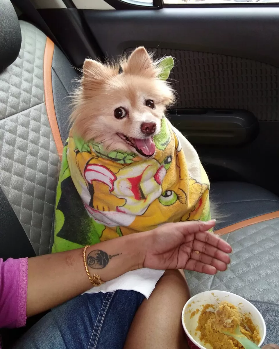 Photo of Srikakulam, Andhra Pradesh, India by rituparna saha