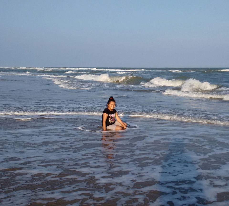 Photo of Kolkata to Dhanushkodi(India's Ghost Town) by Car with our beloved pet Lily by rituparna saha