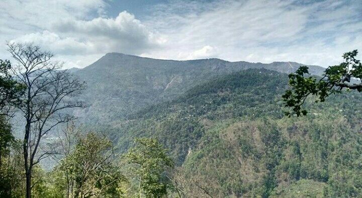 Photo of Mesmerising Nature of Kalimpong and near by Places by rituparna saha