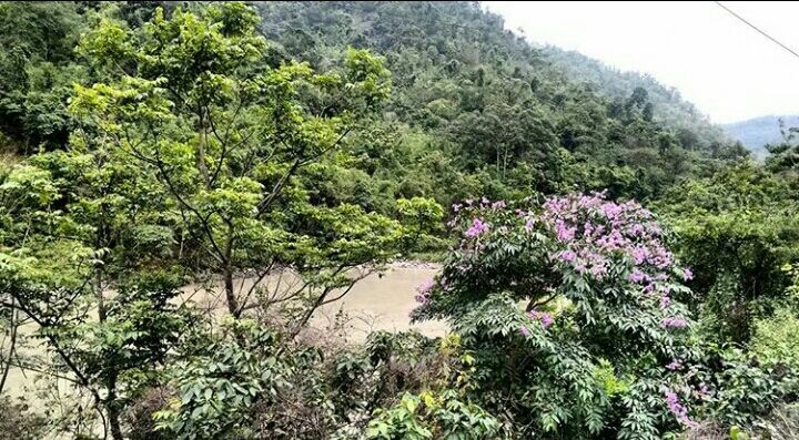 Photo of Mesmerising Nature of Kalimpong and near by Places by rituparna saha