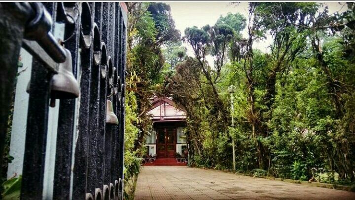 Photo of Mesmerising Nature of Kalimpong and near by Places by rituparna saha