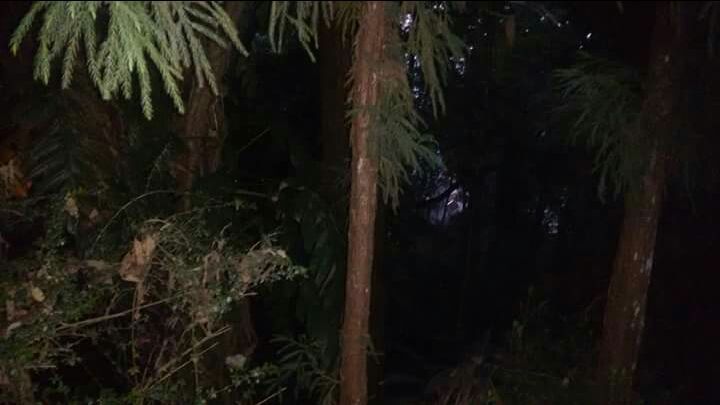 Photo of Mesmerising Nature of Kalimpong and near by Places by rituparna saha