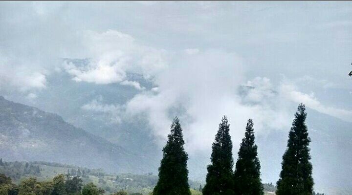 Photo of Mesmerising Nature of Kalimpong and near by Places by rituparna saha