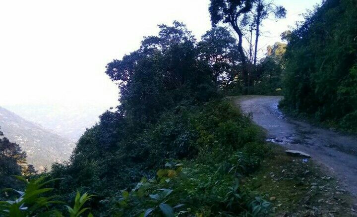 Photo of Mesmerising Nature of Kalimpong and near by Places by rituparna saha