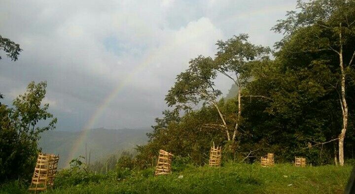 Photo of Mesmerising Nature of Kalimpong and near by Places by rituparna saha