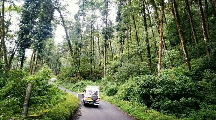 Photo of Mesmerising Nature of Kalimpong and near by Places by rituparna saha