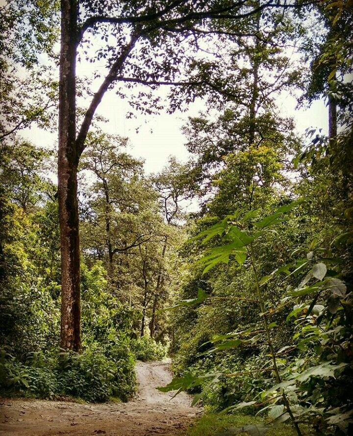 Photo of Mesmerising Nature of Kalimpong and near by Places by rituparna saha