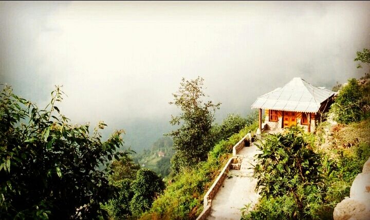 Photo of Mesmerising Nature of Kalimpong and near by Places by rituparna saha