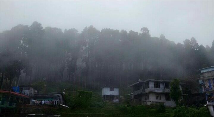 Photo of Mesmerising Nature of Kalimpong and near by Places by rituparna saha