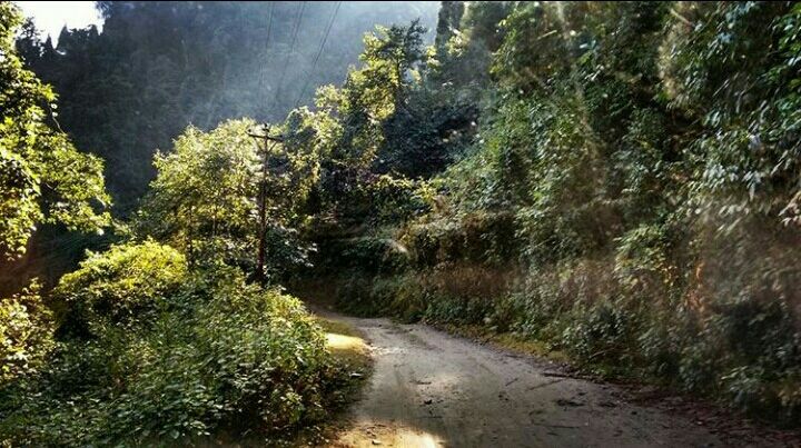 Photo of Mesmerising Nature of Kalimpong and near by Places by rituparna saha