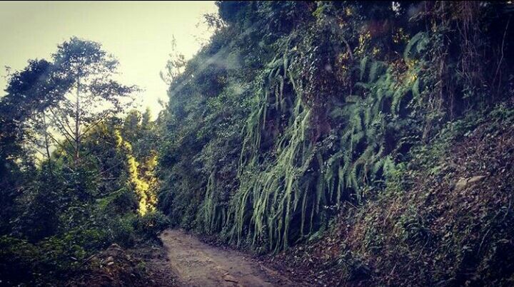 Photo of Mesmerising Nature of Kalimpong and near by Places by rituparna saha