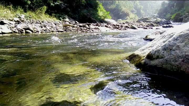 Photo of Mesmerising Nature of Kalimpong and near by Places by rituparna saha