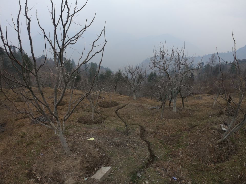 Photo of Snow trek in Sterling Forest, Manali by rituparna saha