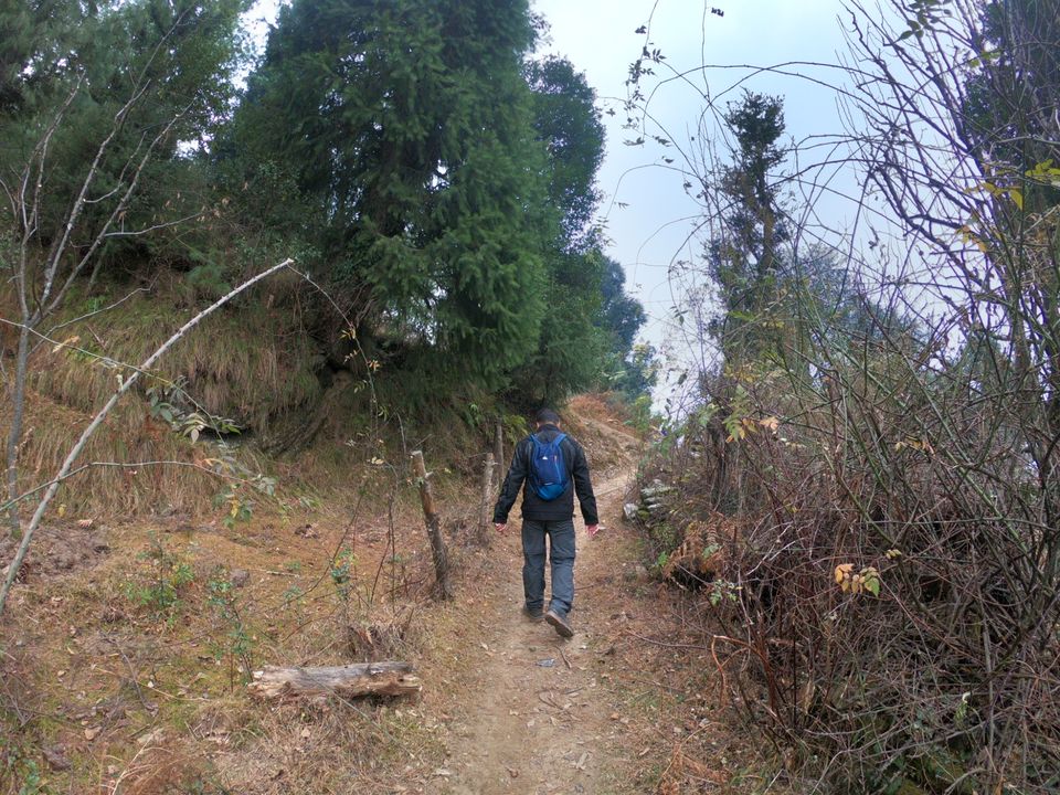 Photo of Snow trek in Sterling Forest, Manali by rituparna saha