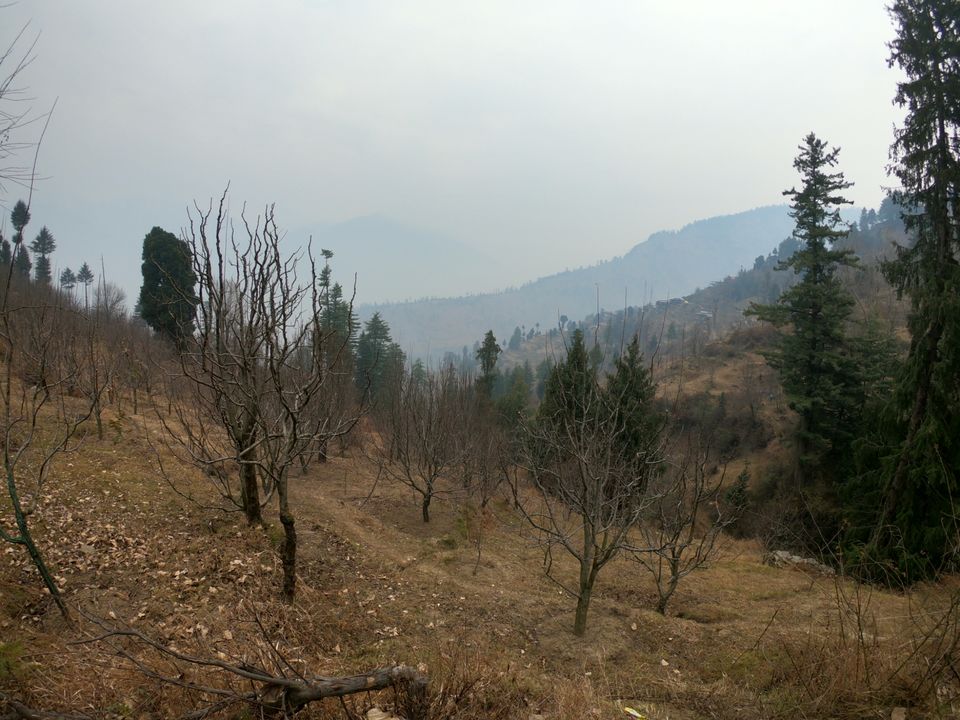 Photo of Snow trek in Sterling Forest, Manali by rituparna saha