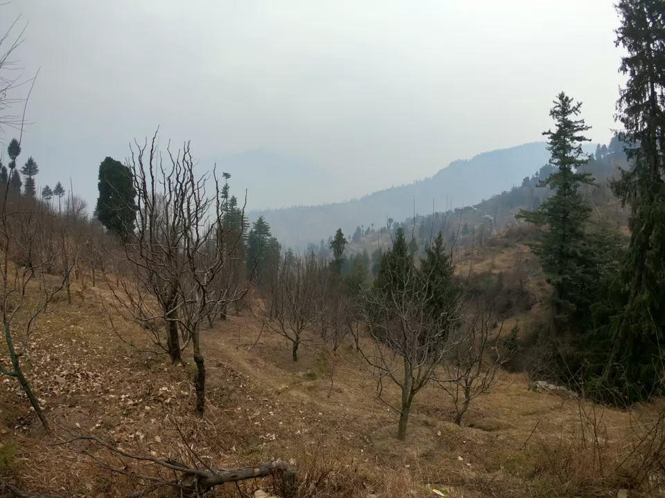 Photo of Snow trek in Sterling Forest, Manali by rituparna saha