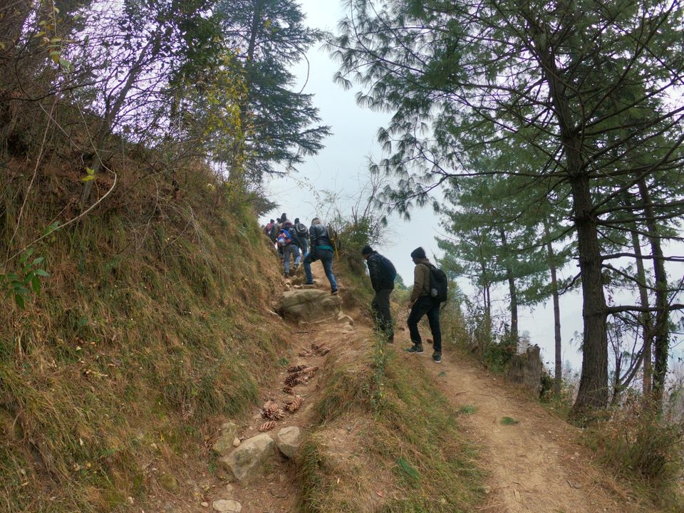 Photo of Snow trek in Sterling Forest, Manali by rituparna saha
