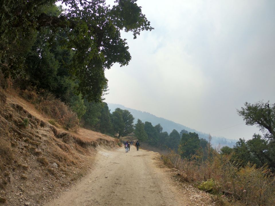 Photo of Snow trek in Sterling Forest, Manali by rituparna saha