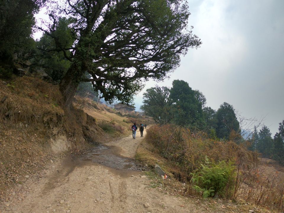 Photo of Snow trek in Sterling Forest, Manali by rituparna saha