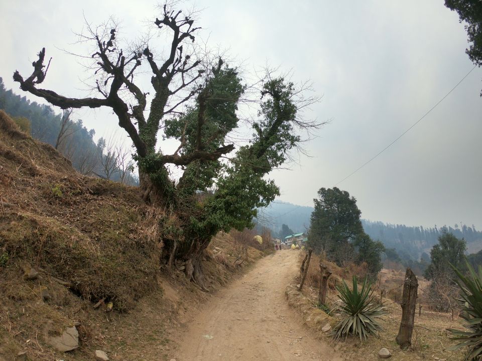 Photo of Snow trek in Sterling Forest, Manali by rituparna saha