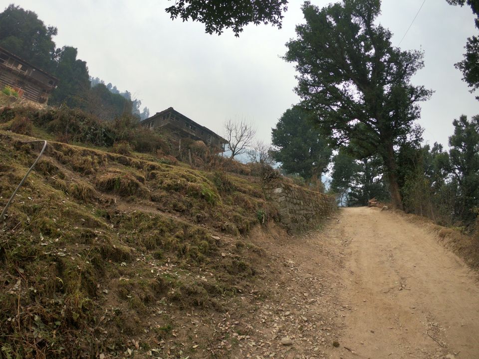 Photo of Snow trek in Sterling Forest, Manali by rituparna saha