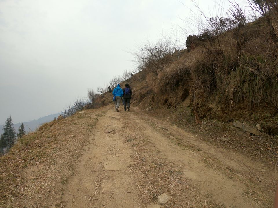 Photo of Snow trek in Sterling Forest, Manali by rituparna saha