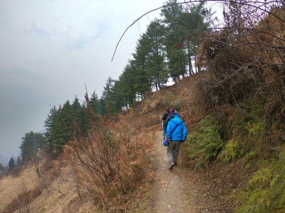 Photo of Snow trek in Sterling Forest, Manali by rituparna saha