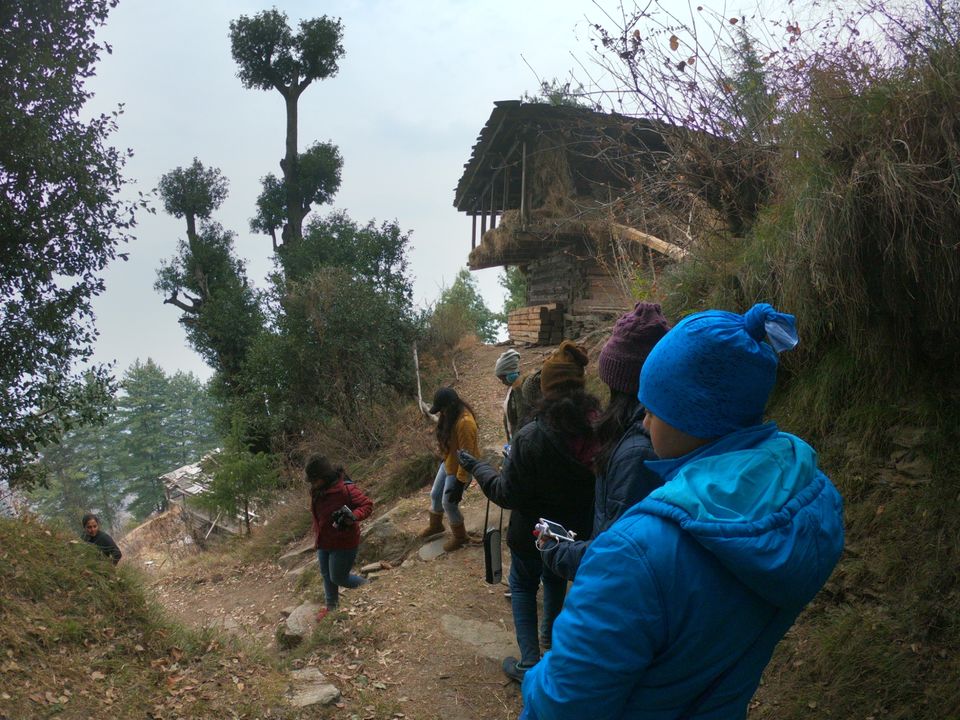 Photo of Snow trek in Sterling Forest, Manali by rituparna saha
