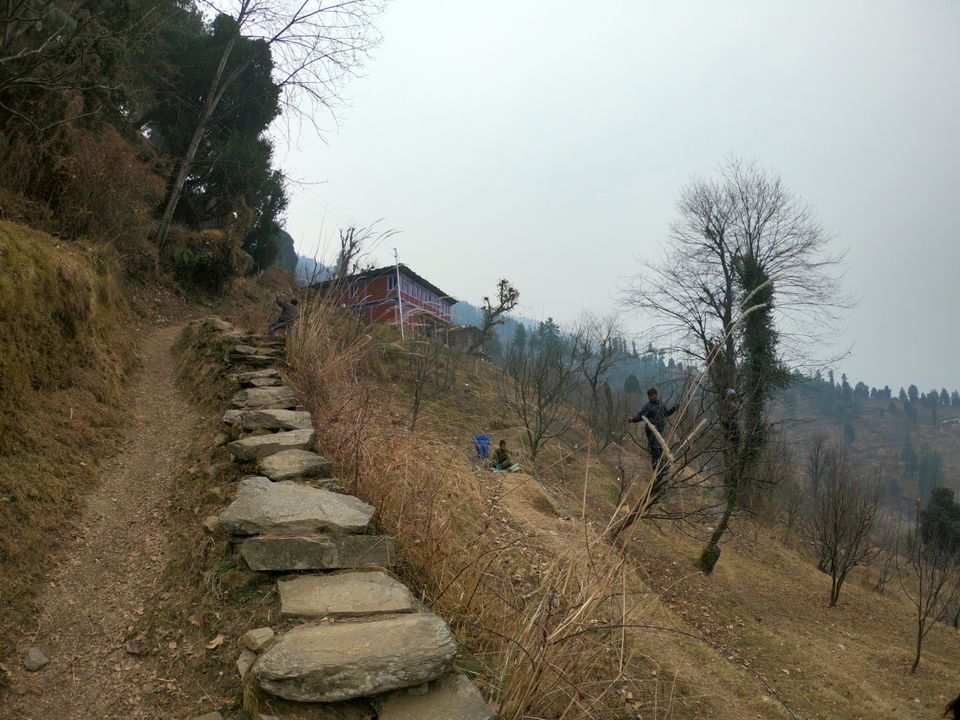 Photo of Snow trek in Sterling Forest, Manali by rituparna saha