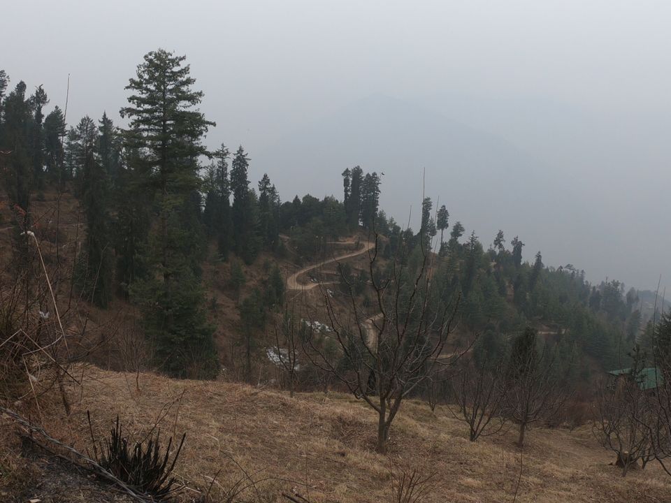 Photo of Snow trek in Sterling Forest, Manali by rituparna saha