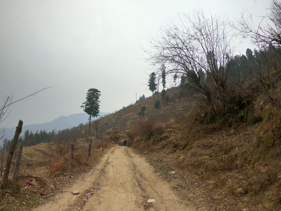 Photo of Snow trek in Sterling Forest, Manali by rituparna saha