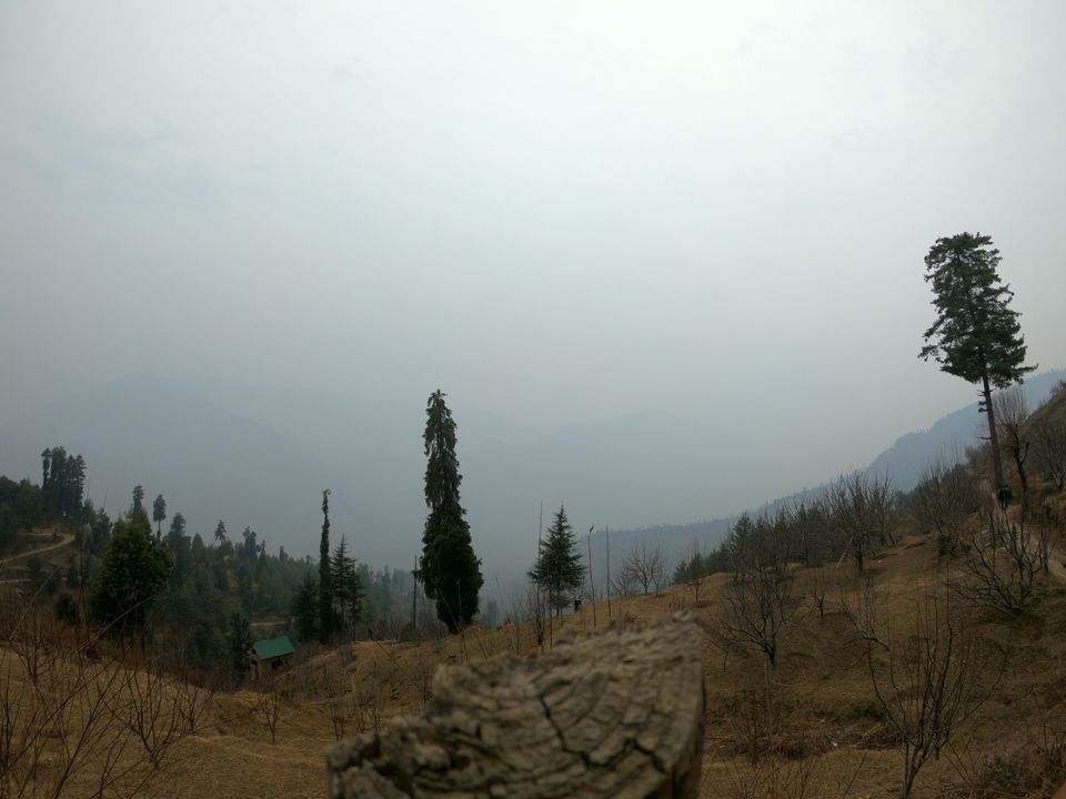 Photo of Snow trek in Sterling Forest, Manali by rituparna saha