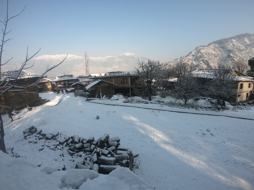 Photo of Snow trek in Sterling Forest, Manali by rituparna saha