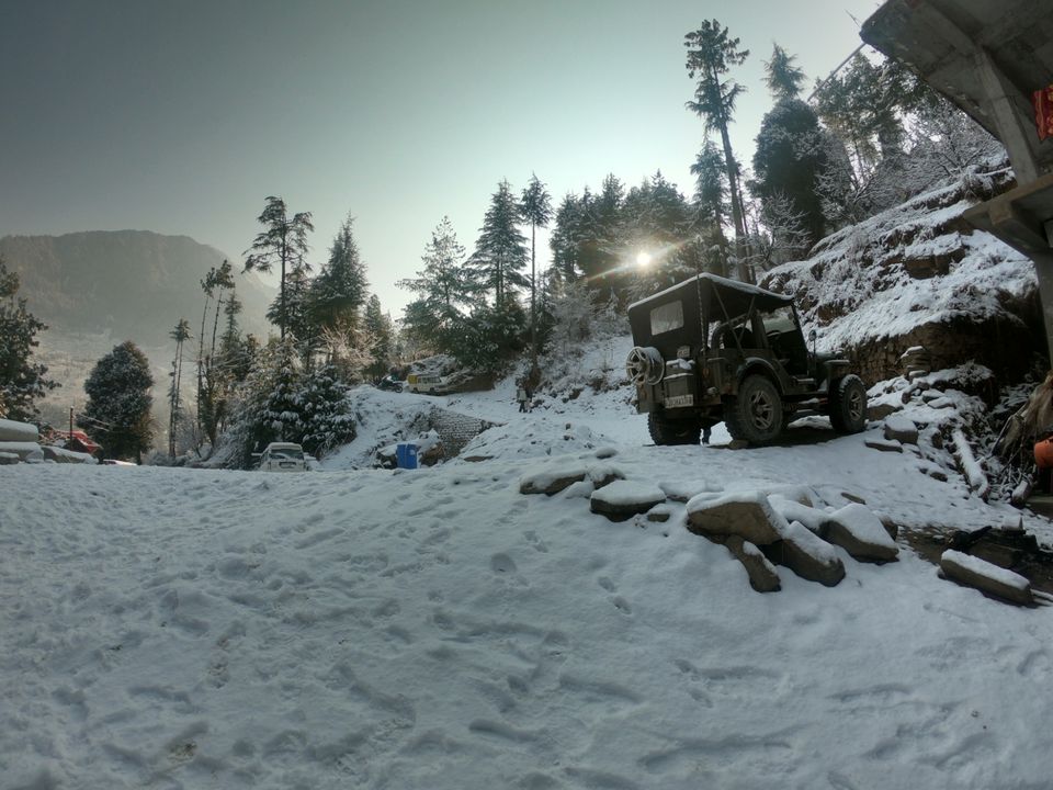 Photo of Snow trek in Sterling Forest, Manali by rituparna saha