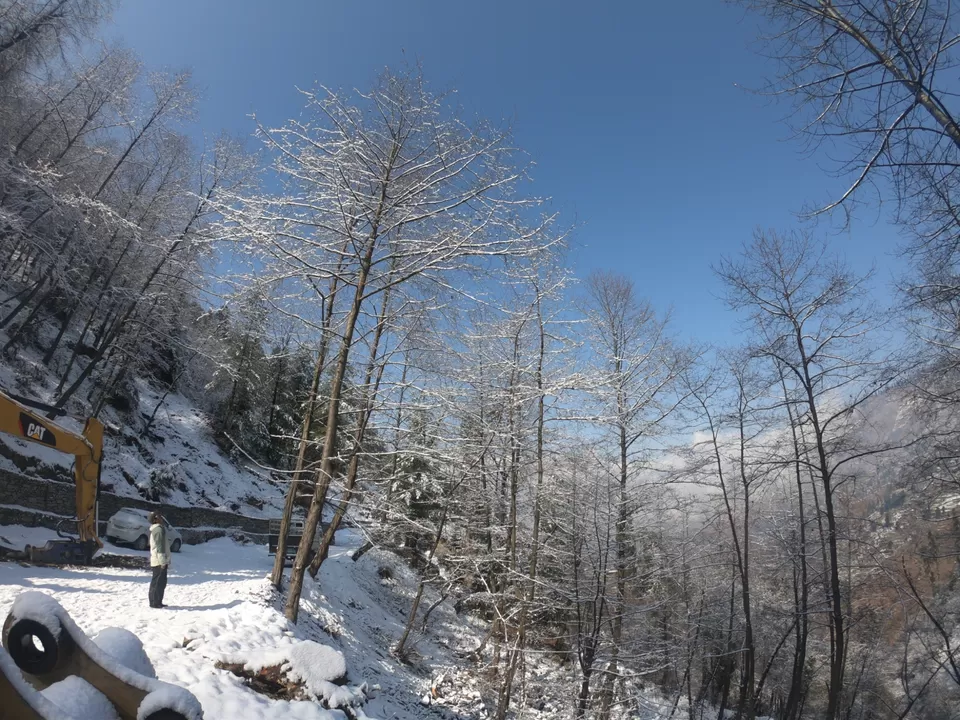 Photo of Snow trek in Sterling Forest, Manali by rituparna saha