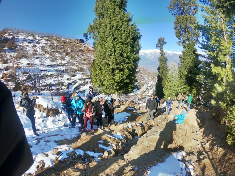 Photo of Snow trek in Sterling Forest, Manali by rituparna saha