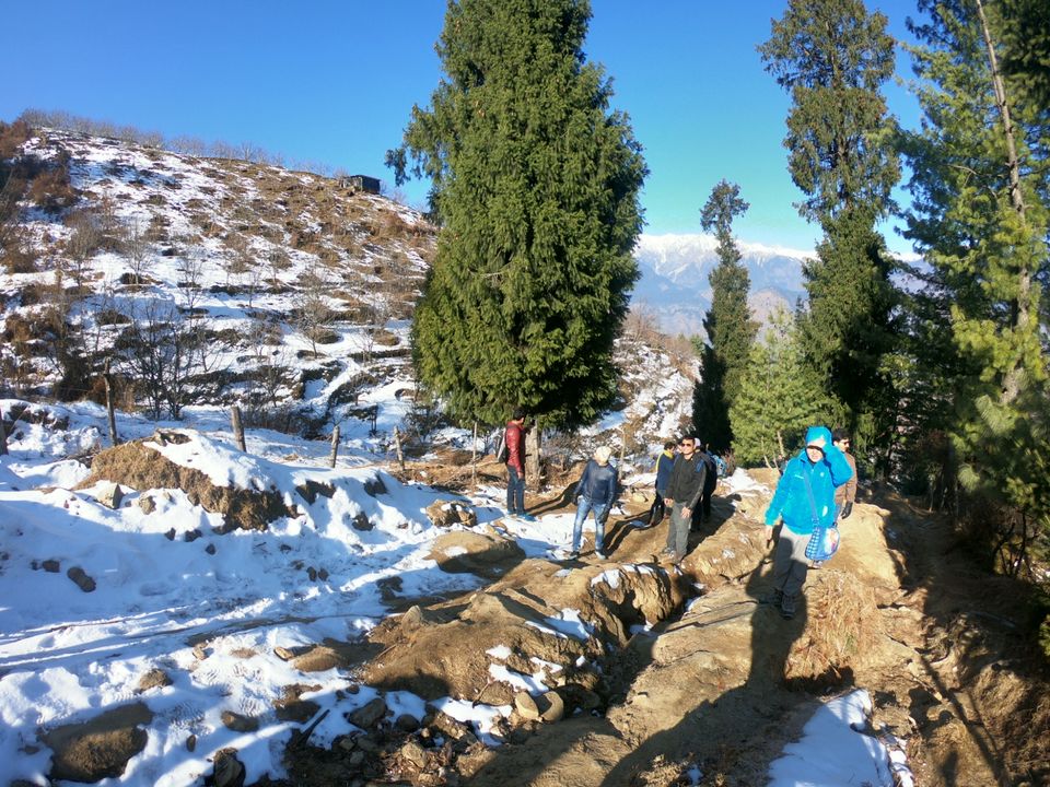 Photo of Snow trek in Sterling Forest, Manali by rituparna saha
