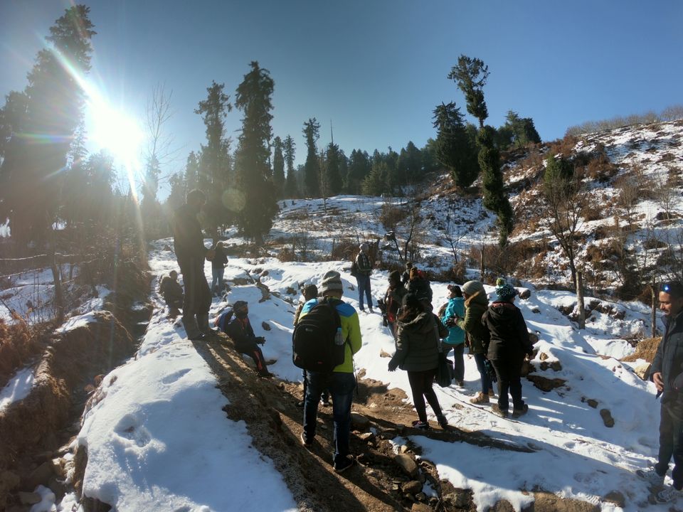 Photo of Snow trek in Sterling Forest, Manali by rituparna saha