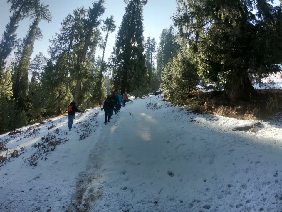Photo of Snow trek in Sterling Forest, Manali by rituparna saha