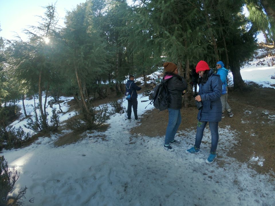 Photo of Snow trek in Sterling Forest, Manali by rituparna saha
