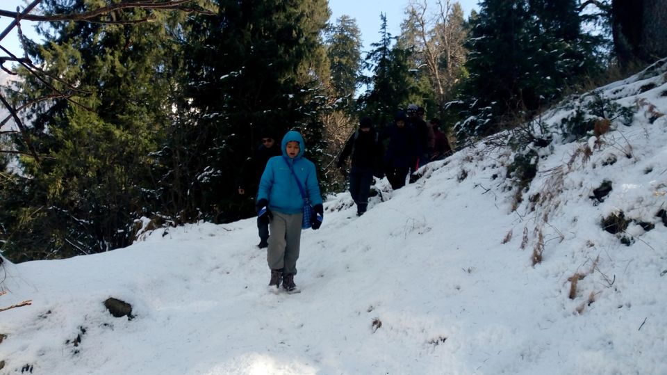 Photo of Snow trek in Sterling Forest, Manali by rituparna saha