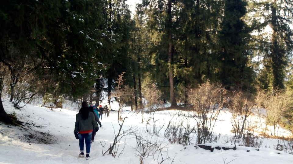 Photo of Snow trek in Sterling Forest, Manali by rituparna saha