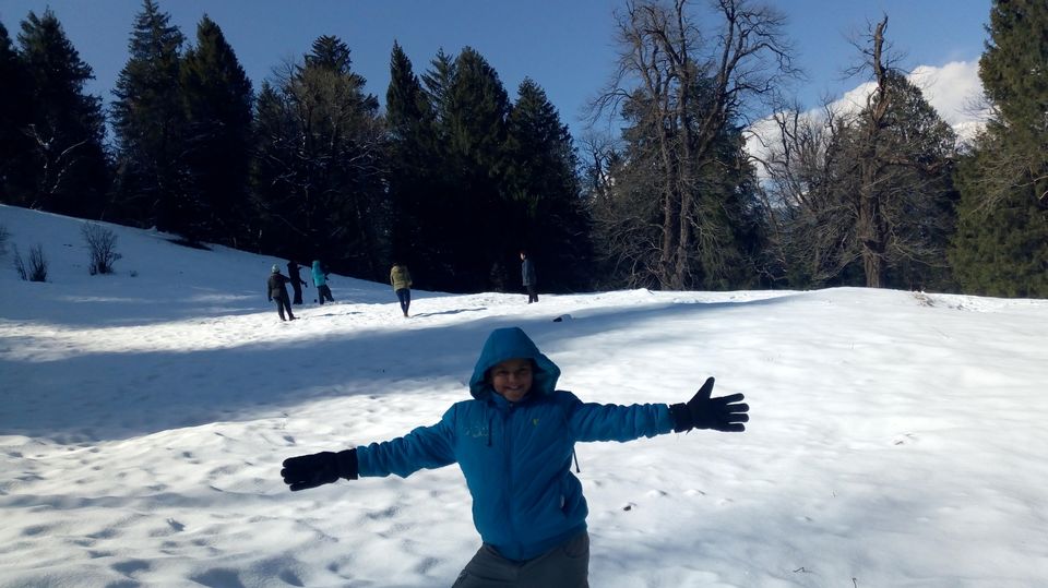 Photo of Snow trek in Sterling Forest, Manali by rituparna saha