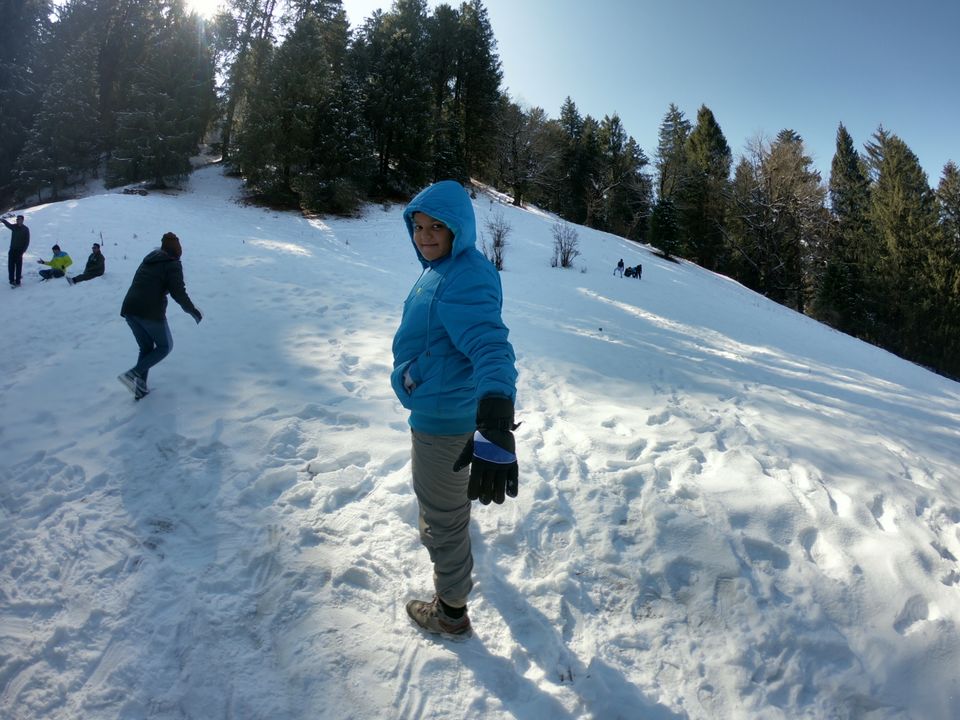 Photo of Snow trek in Sterling Forest, Manali by rituparna saha